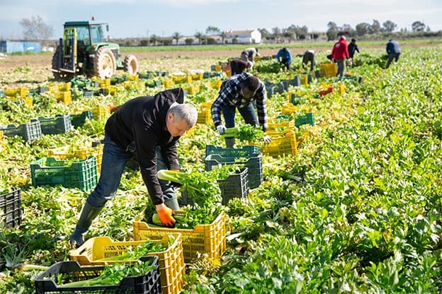 (import) Resource Hero Image - agribusiness-travel-program