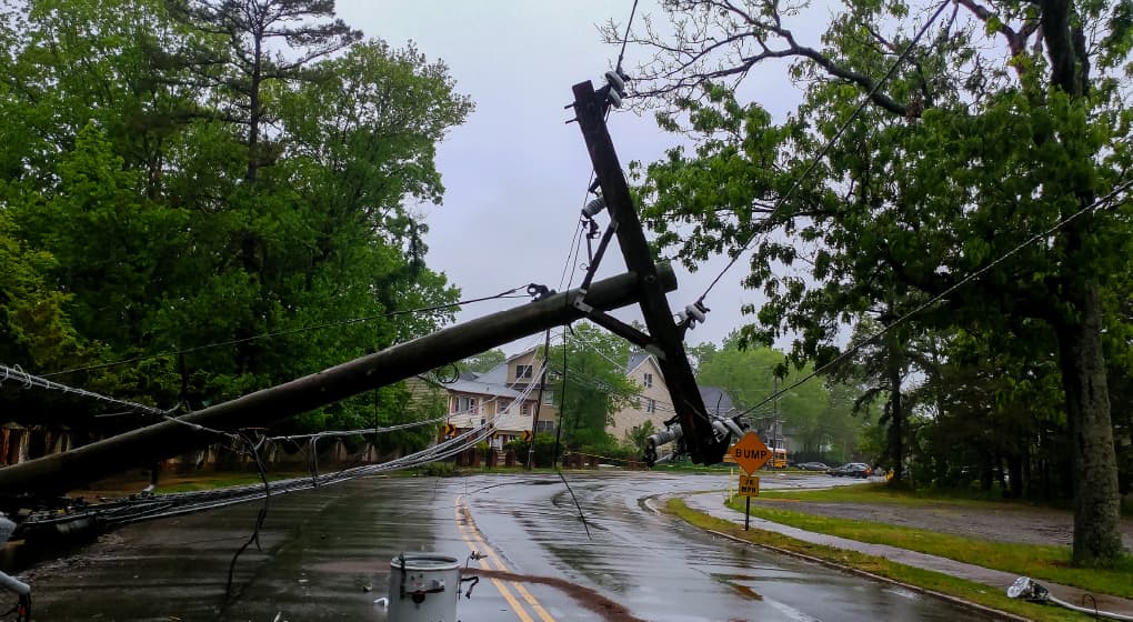 Downed power line and tree blocking a road after a storm, representing disaster response and restoration.