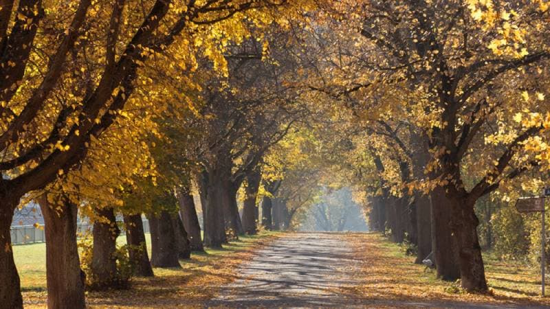(import) Resource Hero Image - What seasonality means for the hotel travel industry-2